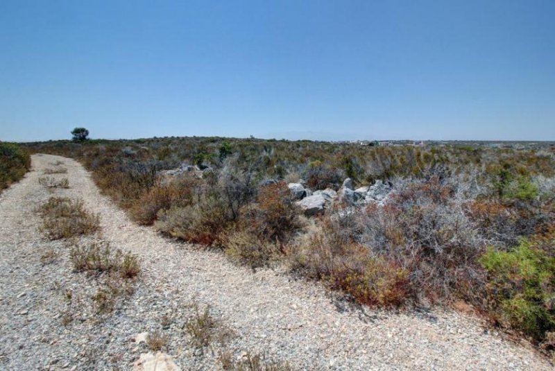 Kalathas Kreta, Kalathas: Grundstück mit herrlichem Blick auf das Meer und die Weißen Berge zu verkaufen Grundstück kaufen